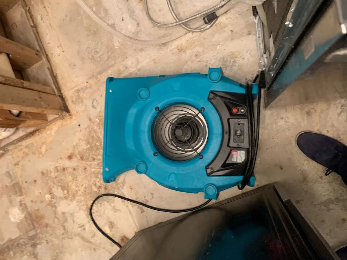Air mover drying equipment for Mold Remediation & Removal in Fort Lee